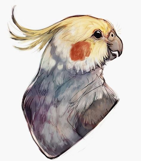 Chat away Parrot Drawing, Desenho Tattoo, Drawing Inspo, Animal Sketches, Bird Drawings, Cute Animal Drawings, A Drawing, 귀여운 동물, Creature Art