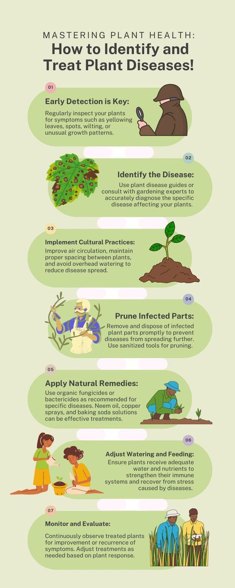 “🌿🪴 Mastering Plant Health: How to Identify and Treat Plant Diseases! 🪴🌿 Ensuring your plants thrive begins with recognizing and managing common diseases. Equip yourself with essential steps to identify and effectively treat plant diseases in your garden or indoor spaces. 🌱✨ #PlantHealth #GardeningTips #HealthyPlants” Plant Health Guide, Plants Infographic, Plant Zone Map, Plant Diseases Identification, Plant Pests And Diseases, Plant Deficiencies, Disease Infographic, Gardening Infographic, Common Diseases