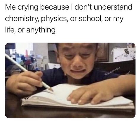 School Memes, Relatable Post Funny, Some Funny Jokes, Funny Relatable Quotes, E Card, Angkor, Really Funny Memes, Funny Tweets, Fun Quotes Funny