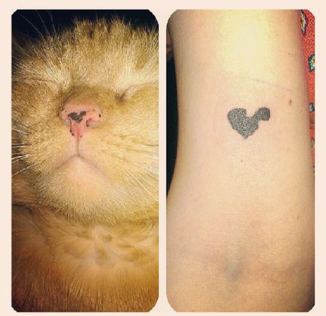 Show Us Your Pet Tattoos And Tell Us What They Mean To You Cat Nose Tattoo, Nose Tattoo, Stripe Tattoo, Pet Tattoos, Female Body Art, Cat Nose, Loyal Friends, Cat Parenting, Tattoo Small