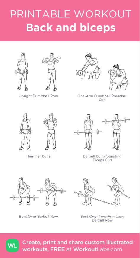 Gym Guide For Beginners, Barbell Workout For Women, Bicep Workout Women, Dumbbell Workout Plan, Back And Bicep Workout, Dumbbell Workout At Home, Workout Gym Routine, Workout Labs, Arm Workouts At Home