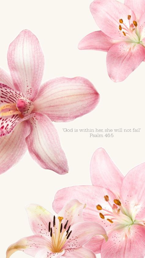 Wallpaper pink lilys “god is within her, she will not fail” psalm 46:5 bible Lily Aesthetic, Icona Ios, Bible Quotes Background, Isaiah 60 22, Catholic Wallpaper, Lily Wallpaper, ملصق ديني, Retro Art Prints, Wallpaper Bible