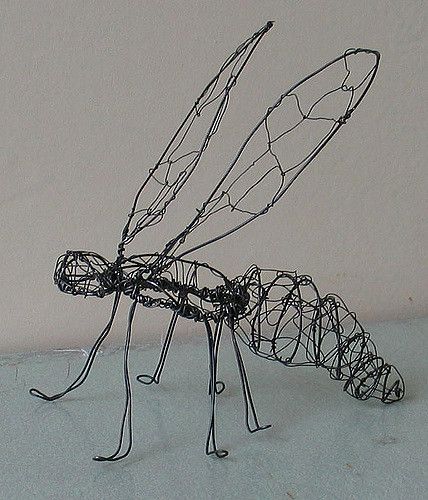 Here's my wire sculpture of my insect before I put on the hog gut.  These pictures are from Melissa Manley's Class Insecta workshop at ArtFest. Insect Sculpture, Chicken Wire Art, Art Fil, Sculpture Lessons, Wire Art Sculpture, Bug Art, Art Wire, Sculpture Projects, 3d Studio