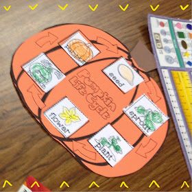 a Class*y Collaboration: Pumpkin Life Cycle {FREEBIE} Life Cycle Of A Pumpkin Preschool, Pumpkin Life Cycle Preschool, Pumpkin Life Cycle Kindergarten, Pumpkin Classroom Activities, Pumpkin Craft Kindergarten, Pumpkin Life Cycle Craft, Pumpkin Activities Kindergarten, Fall Prek, Life Cycles Kindergarten