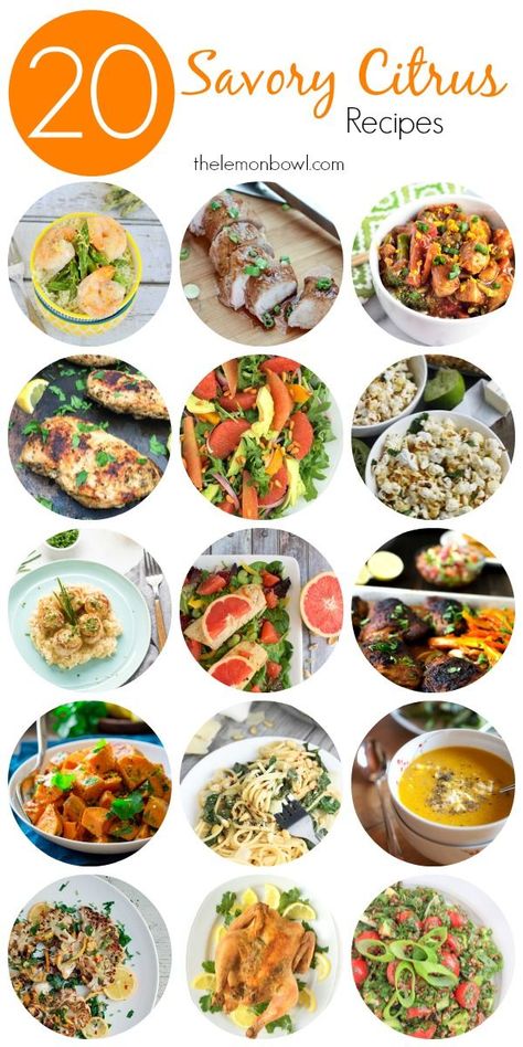 20 Savory Citrus Recipes - The Lemon Bowl Healthy Dinner Recipes For Two, Affordable Recipes, Citrus Recipes, Lemon Bowl, Anti Oxidant Foods, Sample Menu, Recipe Blog, Savory Recipes, Vegetarian Diet