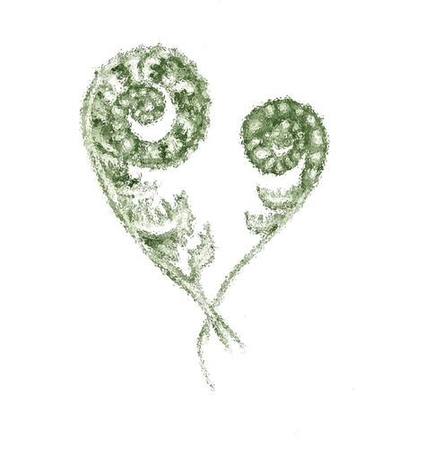 My new project - fiddleheads. That's a pice of nature in my watercolors and graphic design Fiddlehead Fern Illustration, Fiddle Head Tattoo, Fiddle Head Fern Tattoo, Fiddlehead Tattoo, Fiddlehead Fern Tattoo, Fiddle Head Fern, Body Paintings, Fiddlehead Ferns, Brain Tattoo