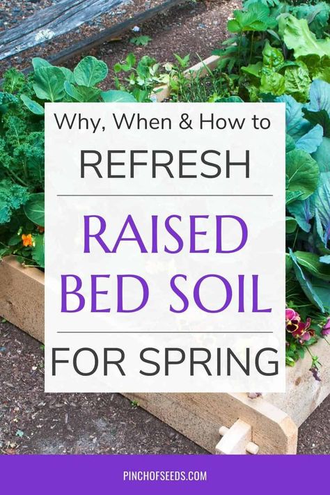 If you want to keep your raised garden beds producing basket full of veggies all season long, it's essential to refresh the raised bed soil periodically. Wondering how to amend raised bed soil? Here are the 5 steps to show you how to add new soil and organic matter to replenish nutrients and rejuvenate productivity. Learn what are the best amendments for YOUR raised bed soil. Improve your raised bed soil today for amazing result this season! How To Prepare A Garden Bed, How To Prepare Garden Beds For Planting, Garden Bed Preparation, Raised Garden Beds Tips, Raised Bed Soil Refresh, Best Soil Mix For Raised Beds, How To Amend Soil In Raised Beds, Best Veggies For Raised Garden Beds, Garden Bed Soil Mixture