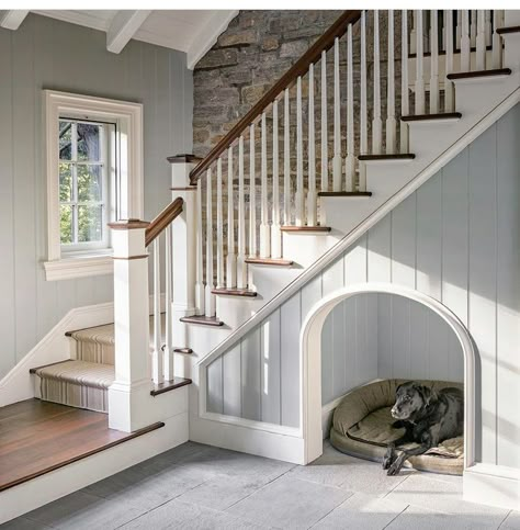 Dog Room Design, Under Stairs Dog House, Colonial Renovation, Stair Nook, Under Stair, Dog Spaces, Under The Stairs, Dog Rooms, Cottage Interiors