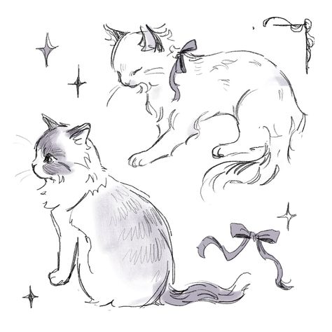 雨🎐 on X: "cat doodles.. https://t.co/aGYPnUizO1" / X Cat Doodles, Cat Drawing Tutorial, Cat Doodle, Cat Sketch, Fancy Cats, Cat Pose, Illustration Art Drawing, Cat Coloring Page, Cats Illustration