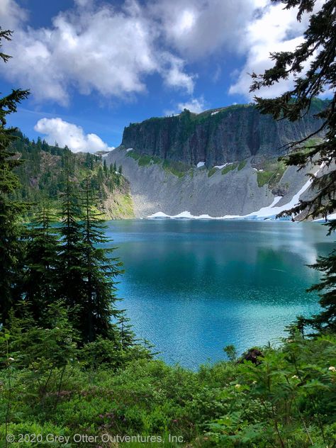 Forest Washington, Washington Road Trip, Landscape Pics, 2019 Outfits, Mount Baker, Washington State Travel, Mt Baker, Washington Hikes, Washington Travel