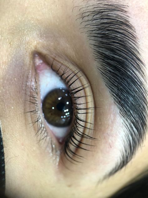 Lamination Lashes, Lifted Brows, Lift Brows, Brow Lifting, Natural Lash Growth, Eyelash Lift And Tint, Lash Extentions, Lash Lifts, Eyebrow Lift