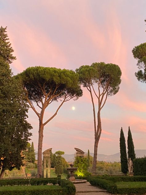 #sunset Familie Aesthetic, Nyu Florence, Mediterranean Aesthetic, Tree Growth, Italian Aesthetic, City Landscape, Spring Aesthetic, Italian Summer, Northern Italy