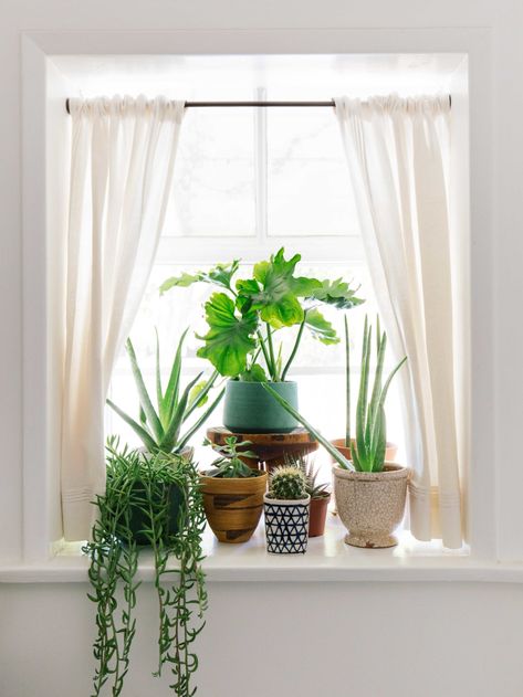 Plants On Window Sill, Plant Window Sill, Window Sill Plants, Houseplants Decor, Window Sill Decor, Plant Window, Window Plants, Bohemian Garden, House Plants Decor