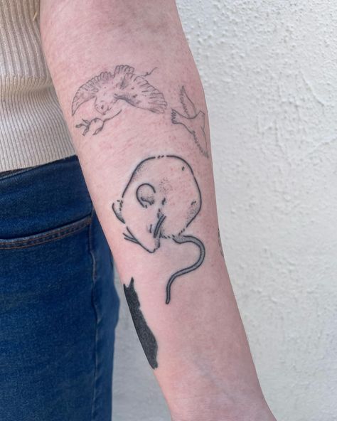 Healed mousey with some touch ups, and a couple of cute little ones! ☀️ Hand poked at @nicepeopletattoo for lovely Sienna 🫶 #handpoke #stickandpoke #tattoo Cute Mouse Tattoo, Stickandpoke Tattoo, Mouse Tattoo, Brighton Tattoo, Like A Tattoo, Tattoos Inspo, Mouse Tattoos, Dad Tattoos, Nice People