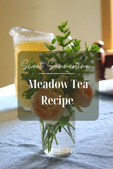 Meadow Tea Recipe | Herbal Recipes | Home in the Hollow | You can’t beat the sweet taste of homemade meadow tea. Growing up in southern Pennsylvania, meadow tea is a summertime staple. I remember walking along brush rows with my grandmother looking for wild mint. She would often make a pitcher of meadow tea on hot summer days. Explore recipes, herbs, gardening, homesteading, cooking from scratch, and more with Abby from Home in the Hollow. Meadow Tea Recipe, Homesteading Cooking, Meadow Tea, Tea Growing, Teas Recipes, Cooking From Scratch, Wild Mint, Apple Mint, Herbal Teas Recipes