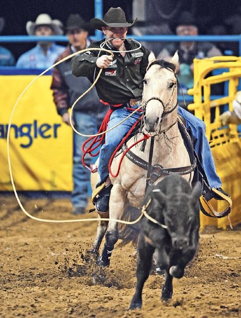 rodeo cowboys | Pam Minick's NFR Picks Rodeo Life, Roping Horse, Calf Roping, National Finals Rodeo, Rodeo Time, Rodeo Cowboys, Real Cowboys, Rodeo Horses, Team Roping