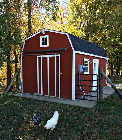 How to Build a Milk Barn You and Your Cow Will Love - A Tour of Our Milking Parlor Milk House Shed, Homestead Milking Parlor, Milk Parlor, Milking Parlor, Cow Milking Station, Miniature Cows, Homesteading Animals, Cow Shed, Barn Layout