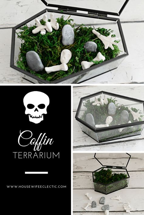 Housewife Eclectic: There are few things I love more than decorating for Halloween. There is something about spooky skeletons that speak to my soul. It is the time a year I create and post more than any other because I am simply passionate about what I am making. I am SO excited to bring you my first Halloween post of the year. Glass Coffin Decor, Glass Coffin Terrarium Ideas, Gothic Terrarium Ideas, Glass Coffin Terrarium, Coffin Crafts, Coffin Terrarium, Halloween Terrarium, Halloween Storage, Diy Terrariums