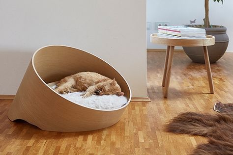 German-based company MiaCara, who originally produced only dog products, recently added a line of incredible modern cat furniture that is possibly some of the best I’ve seen. Cool Cat Beds, Diy Chat, Chat Design, Modern Cat Bed, Modern Cat Furniture, Cat Lounge, Luxury Cat, Modern Cat, Cute Kittens