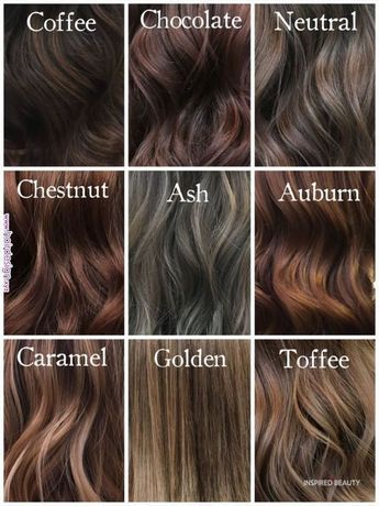 Hair Color Ideas For Brunettes That You Want To See - Inspired Beauty Hair Colour Ideas, Brunette Hair, Different Shades Of Brown Hair, Shades Of Brown Hair, Shades Of Brunette, Different Shades Of Brown, Hair Color Ideas For Brunettes, Shades Of Brown, Chocolate Coffee