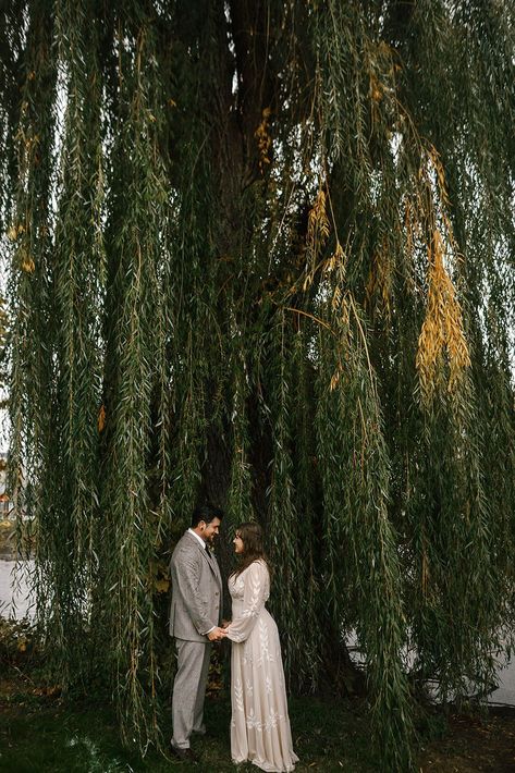 Being a wedding photographer in Detroit, there were so many amazing opportunities to photograph them with unique backdrops, like willow trees to the conservatory and greenhouses. It was a perfect evening. They have all the good luck from the rain sending them off into their marriage. | elopement | photos | photo session | willow tree | Belle Isle | Willow Tree Engagement, Willow Tree Wedding Photos, Wedding Under Willow Tree, Willow Tree Engagement Photos, Willow Tree Wedding Ceremony, Wedding Willow Tree, Weeping Willow Wedding, Wedding Under Tree, Belle Isle Detroit