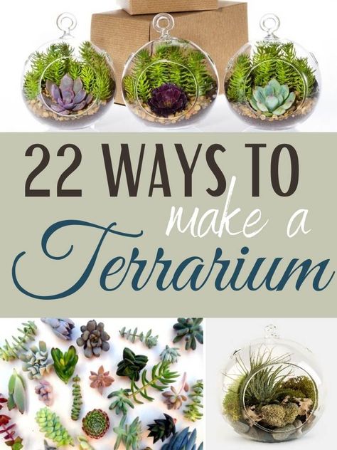 Diy Faux Terrarium, Terrarium Globe Ideas, Fun Terrarium Ideas, Small Hanging Terrarium Ideas, Hanging Terrarium Ideas, Mini Terrarium Ideas, Faux Terrarium, Terrarium Animals, Diy Terrariums