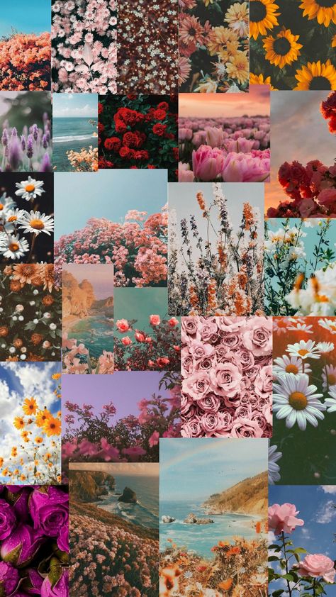 Fairycore Aesthetic Wallpaper, Mixed Aesthetic, Pink Flower Wallpaper, Disney Moana Art, Brown Aesthetic Wallpaper, Preppy Wallpapers, Map Compass, Nature Collage, Girl Wallpapers