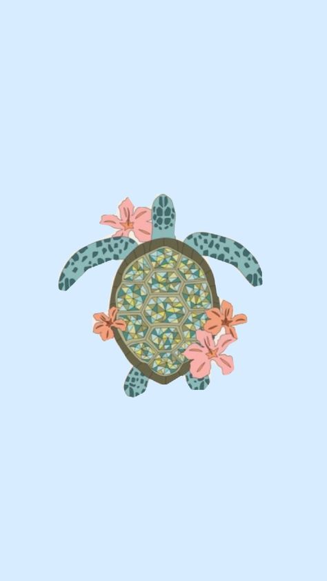 Cute Wallpapers Turtle, Aesthetic Turtle, Turtle Icon, Sea Turtle Wallpaper, Turtle Background, Turtle Pictures, Beachy Wallpaper, Sea Turtle Pictures, Turtle Wallpaper