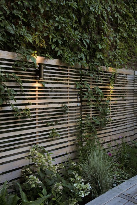 Cottage Garden Fence Ideas, Modern Privacy Screen, Privacy Garden, Garden On A Budget, Modern Fence Design, Privacy Fence Designs, Garden Privacy, Cottage Garden Plants, Backyard Fences