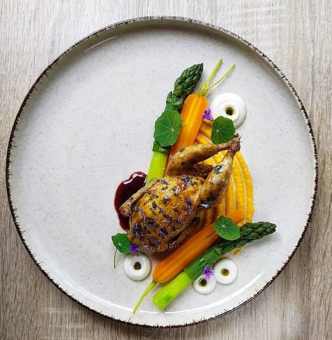 Gastronomic Food, Quail Recipes, Chef Dishes, Food Presentation Plates, Culinary Chef, Gourmet Food Plating, Chefs Plate, Culinary Cooking, Food Promotion