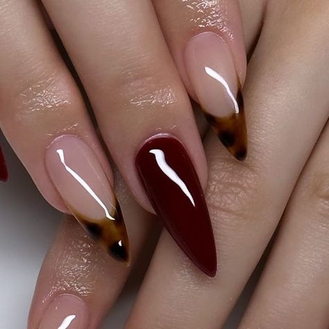 𝐒𝐊𝐘𝐄 | 𝒢𝑒𝓁 𝒳 𝒩𝒶𝒾𝓁𝓈 on Instagram: "♡ fall nails 🤎 ib @nailsxanalysse ♡ length/shape: medium, stiletto . . . . . . ♡ #nailsofinstagram #gelx #apresnails #nails #nailart #apres #nailinspo #nailsofig💅🏼 #inlandempirenails #ienailtech #explore #nailsbyskyelinh" November Nails Fall Almond Shape, Fall Coffin Shaped Nails, Fall Stellio Nails, Autumn Nails Stiletto, Thanksgiving Nails Stiletto, Fall Nail Designs Stiletto, Manicure Colors Summer, Summer Manicure Colors, Manicures For Short Nails