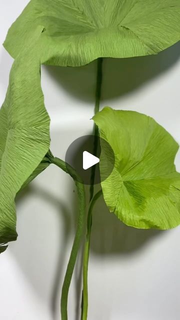 manney.paperart.design on Instagram: "Let me show you how to make a giant paper lotus leaf. #tutorial #paperflower #giantflower #floraldesign #flowerdecor #lotusleaf" Giant Lotus Paper Flower, Diy Monstera Leaf, Paper Leaf Craft, Paper Mache Plants, Diy Lotus Flower, Paper Plants Diy, Giant Paper Flower Tutorial, Giant Flowers Diy, Paper Lotus