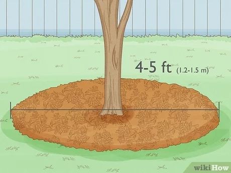 How to Mulch around a Tree: 4 Easy Steps (With Pictures) Mulch Bed Around Tree, Mulch Under Trees, How To Mulch Around Trees, How To Landscape Around A Tree, Mulch Around House, How To Lay Mulch Down, Mulching Around Trees, Around Tree Landscaping Ideas, Edging Around Tree