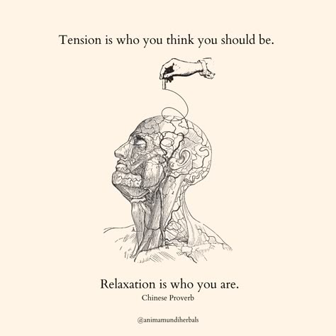 Tension (n.) from the Latin root “tendere”, meaning to stretch. In casual conversation, tension is often confused with constriction or conflict, but this physical or emotional stretch—“tension” in French is translated as “a stretched condition”—is actually an opportunity to release, to let go, and to ease into acceptance. Nature Witch, Types Of Meditation, Divine Feminine Spirituality, The Nervous System, Poetry Words, Last Post, Healing Journey, Women In History, May 22