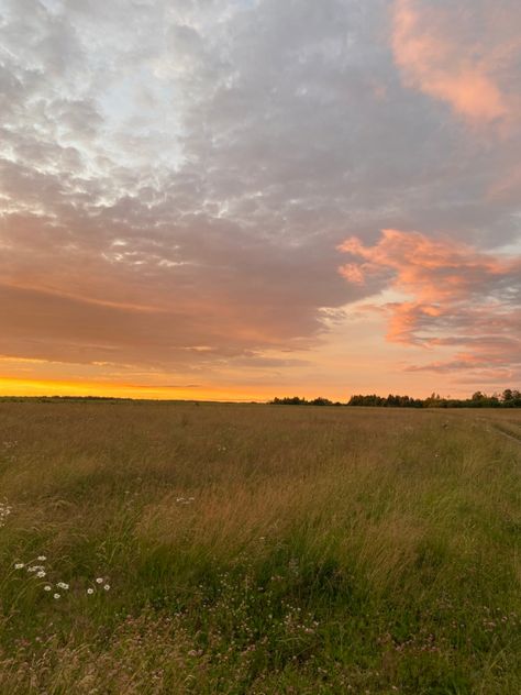 Farm Fields Landscapes, Open Field Aesthetic, Meadow Background, Sunset Meadow, Sunset Field, Field At Sunset, Grassy Field, Pretty Landscapes, Open Field