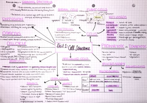 AQA GCSE Biology  Unit 1:- Cell Structure  Mind Map #study #mindmap #biology #school #pastel #revision Gcse Cell Biology Revision, Chemistry Gcse Mindmaps, Mind Map Study Ideas, Cell Biology Mind Map, Mind Map Notes Ideas, Science Mind Map Ideas, Biology Unit 1 Notes, Study Mind Maps Ideas, Mind Map Revision