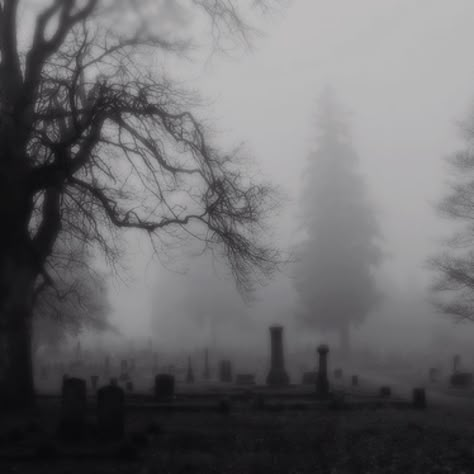 The Graveyard Book Aesthetic, Cemetery Astethic, Vampire Graveyard, Foggy Cemetery, Beautiful Graveyard, Goth Graveyard, Foggy Graveyard, Dark Graveyard, Aesthetic Graveyard