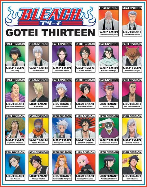 Captains and Lieutenants of the 13 court guard squads Otaku Test, Toushirou Hitsugaya, Kon Bleach, Bleach Captains, Abarai Renji, Ichigo Manga, Bleach Pictures, Gotei 13, Kuchiki Byakuya