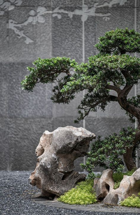 Zen Rock Garden, Japanese Garden Landscape, Zen Garden Design, Japan Garden, Japanese Garden Design, Bonsai Art, Chinese Garden, Garden Pictures, Bonsai Garden