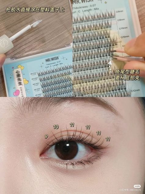 Classic Lash Extensions Asian Eyes, Korean Eye Lash, Korean Lash Extensions, Korean Eyelash Extension, Daily Eye Makeup, Seni Resin, Sparkly Makeup, Makeup Pictorial, Douyin Makeup