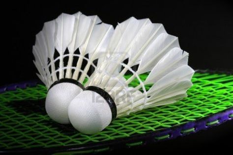 Are You Aware About These Facts About Badminton? Badminton Videos, Badminton Quotes, Badminton Match, Sport Badminton, Gajah Mada, Badminton Photos, Badminton Club, Olympic Badminton, Badminton Sport