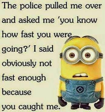 Funny Police Quotes, Police Jokes, Funny Mean Quotes, Funny Minion Pictures, Funny Minion Memes, Funny Day Quotes, Minion Jokes, English Jokes, Work Quotes Funny