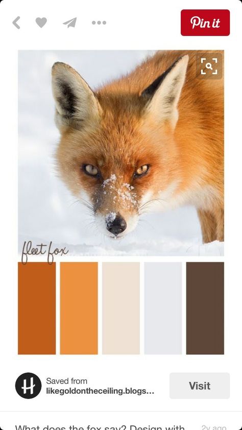 Shading Tips, Fox In The Snow, Fall Leaves Nail Art, Fleet Foxes, Paper Animals, Design Seeds, Cute Fox, Colour Board, The Ceiling