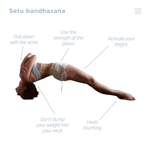 Setu Bandhasana, Ashtanga Primary Series, Heel Touches, Knee Up, The Pose, Leg Muscles, Inner Thigh, Back Muscles, Bending