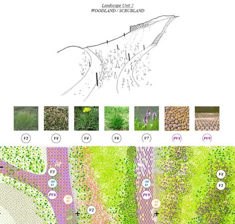 Sensory Museum, Landscape Architecture Rendering, Front Landscaping Design, Landscape Plane, Project Abstract, Landscape Design Drawings, Win Competitions, Architecture Portfolio Design, Roman Ruins