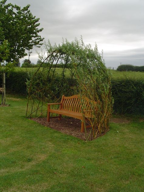 Willow Structures, Willow Fence, Living Willow, Halloween Garden, Have Inspiration, Backyard Living, Pergola Shade, Garden Fencing, Garden Structures