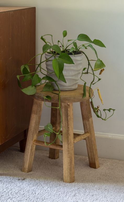 how to shorted a barstool to use as a plant stand Diy Wood Stool, Wooden Stools Diy, Small Wooden Stool, Diy Stool, Bathroom Stool, Industrial Bar Stools, Wooden Bar Stools, Wood Plant Stand, Diy Plant Stand