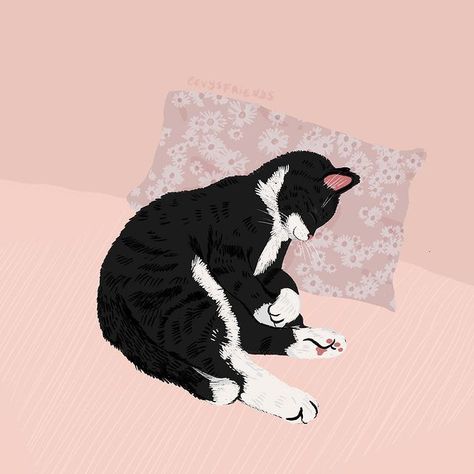 Alissa Levy en Instagram: “napping through Caturday 💤 . . . #catmood #catillustration #catsofinstagram #catlove #editorialillustration #digitalart #illustrationartist…” Tuxedo Cat Drawing, Pastel Poster, Tuxedo Cat, Illustration Artists, Cat Illustration, Editorial Illustration, Cat Drawing, Crazy Cat Lady, Mode Inspiration