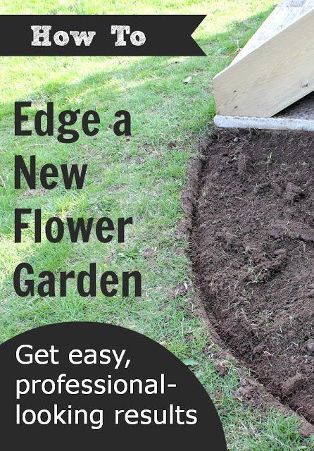 How to Edge a Flower Bed | The Creek Line House Beautiful Flower Beds, Backyard Plants, Apt Ideas, Outdoor Gardens Design, Home Landscaping, Outdoor Backyard, Small Backyard Pools, Budget Backyard, Outdoor Inspirations