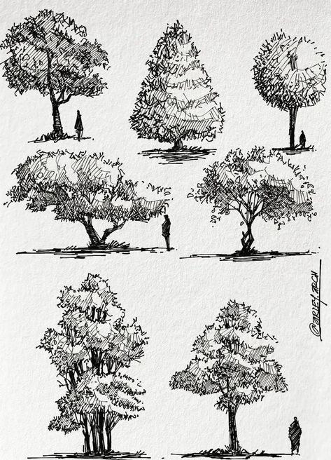 Crafting Green Sanctuaries: Landscape Sketch Design Services Pen Nature Drawings, Nature Pen Drawing, Plant Sketch Pencil, Landscape Pen Drawing, Landscape Sketch Nature, Hatching Drawing Sketches, Hatching Drawing, Tree Line Drawing, Ink Drawing Techniques